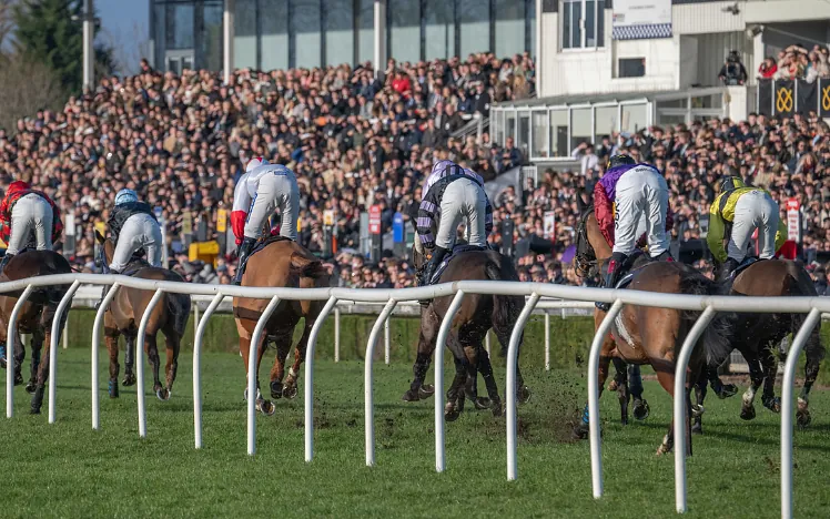 Crowd at Southwell Racecourse