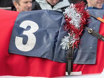 Horse with tinsel on saddle at Uttoxeter Racecourse.