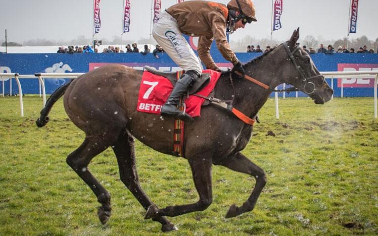 Jockey on a horse racing at Uttoxeter Racecourse.