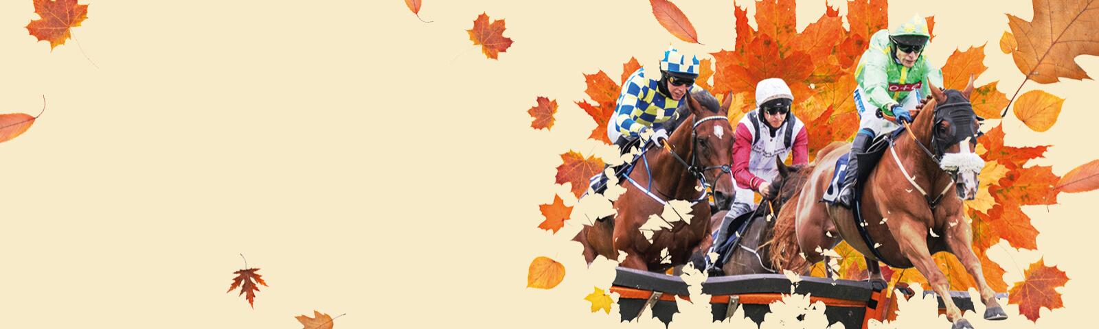 Autumn Afternoon Racing at Uttoxeter Racecourse