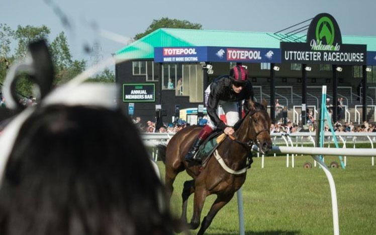 Jockey racing past racegoers at Uttoxeter Racecourse.