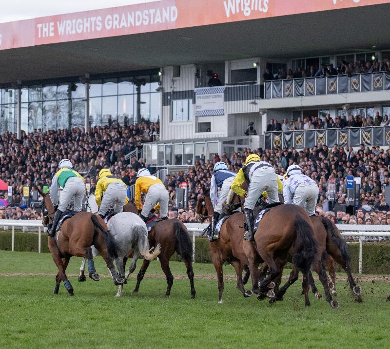 Horserace in front of a crowd.