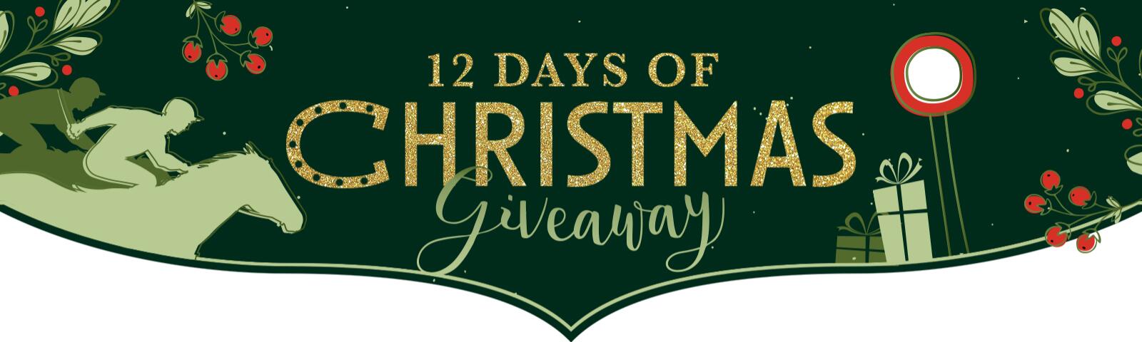 12 Days of Christmas Competition
