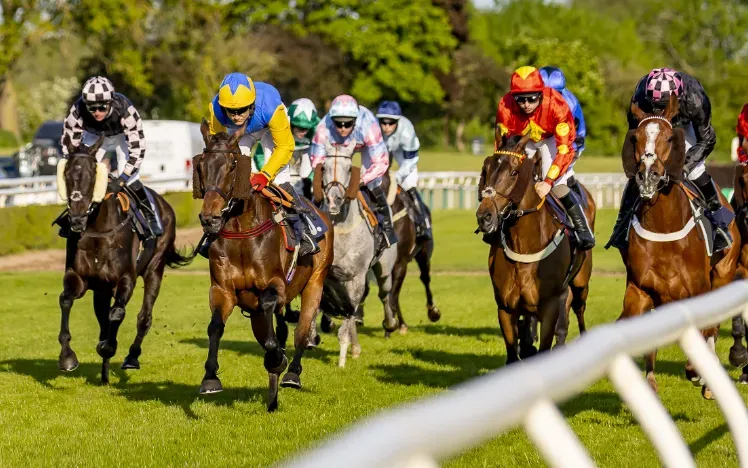 Horses racing down the track at Uttoxeter in the sunshine