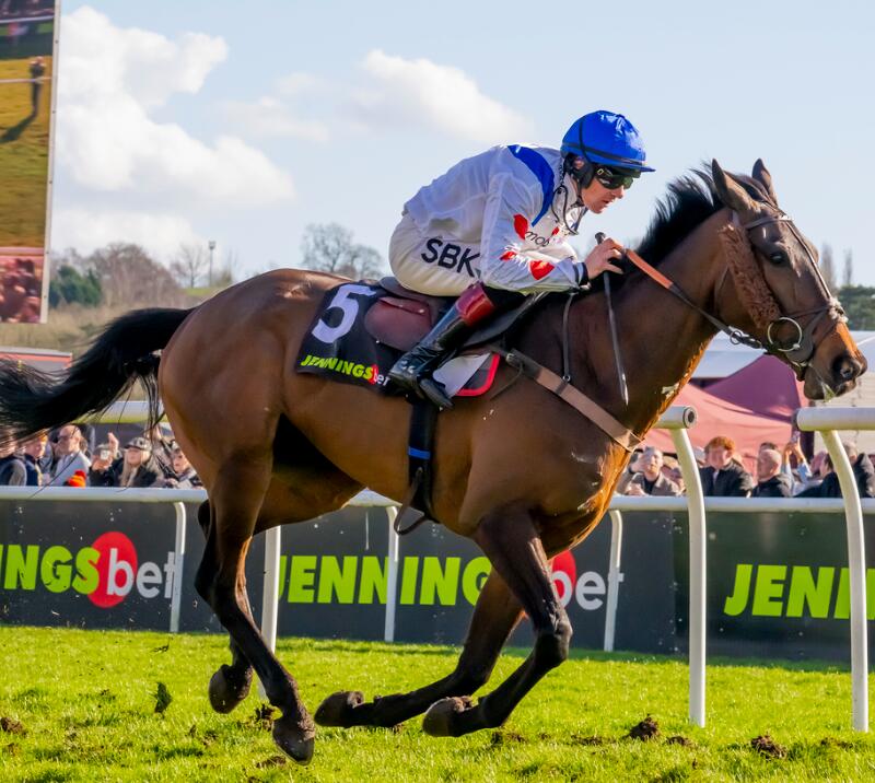 Midlands Grand National