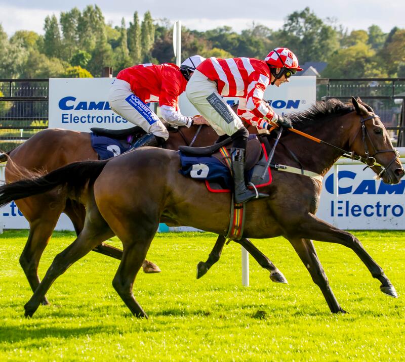 Two horses racing towards the winning post at Uttoxeter Racecourse
