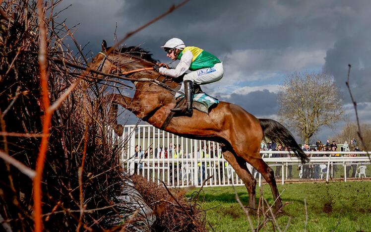 bet365 Midlands Grand National