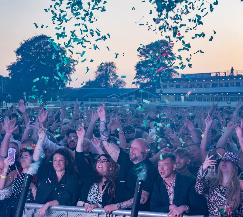 Concert crowd cheering.