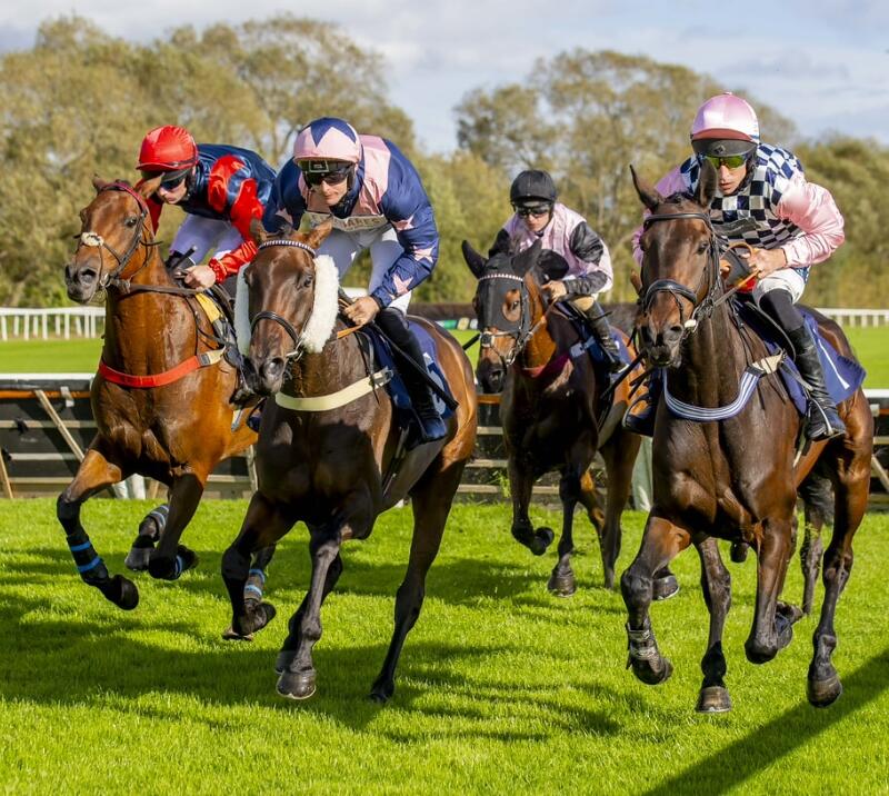 Four horses make their way past a jump on the track at Uttoxeter