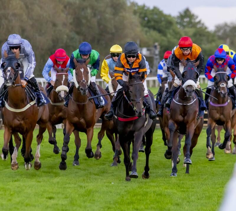 A full field of competitors during a horse race at Uttoxeter all heading towards the camera