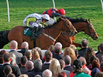 Packages | Uttoxeter Racecourse