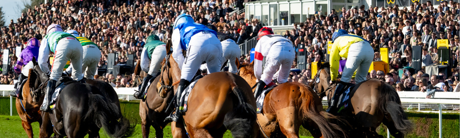 Midlands Grand National at Uttoxeter Racecourse