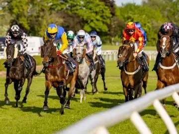 Horses racing down the track at Uttoxeter in the sunshine