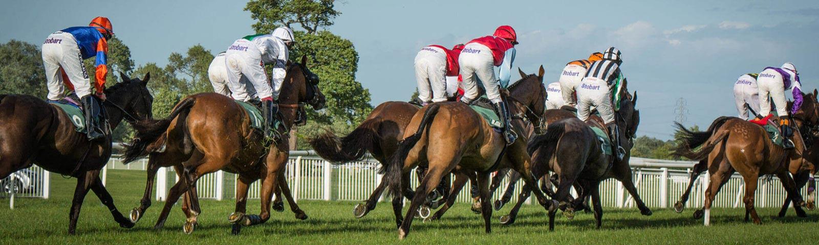 Group of jockeys racing at Uttoxeter Racecourse.