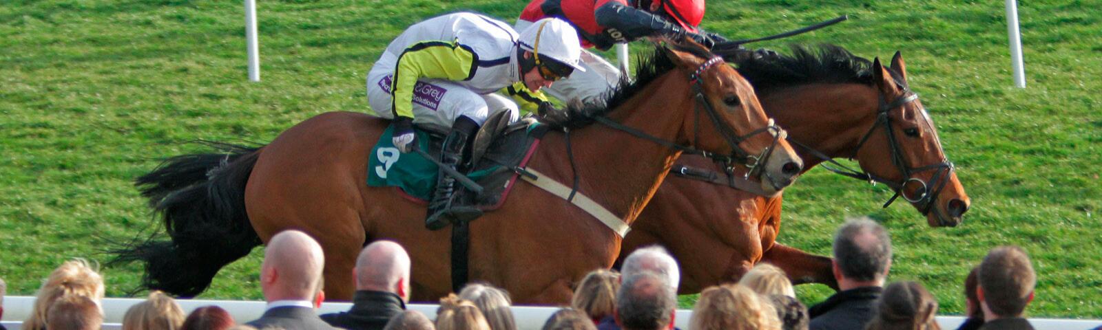 Crowd at Uttoxeter Racecourse.